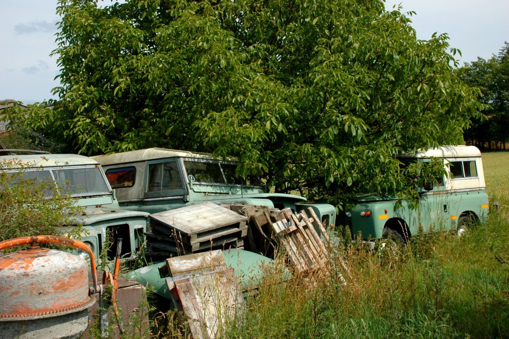 Laura parked under a tree